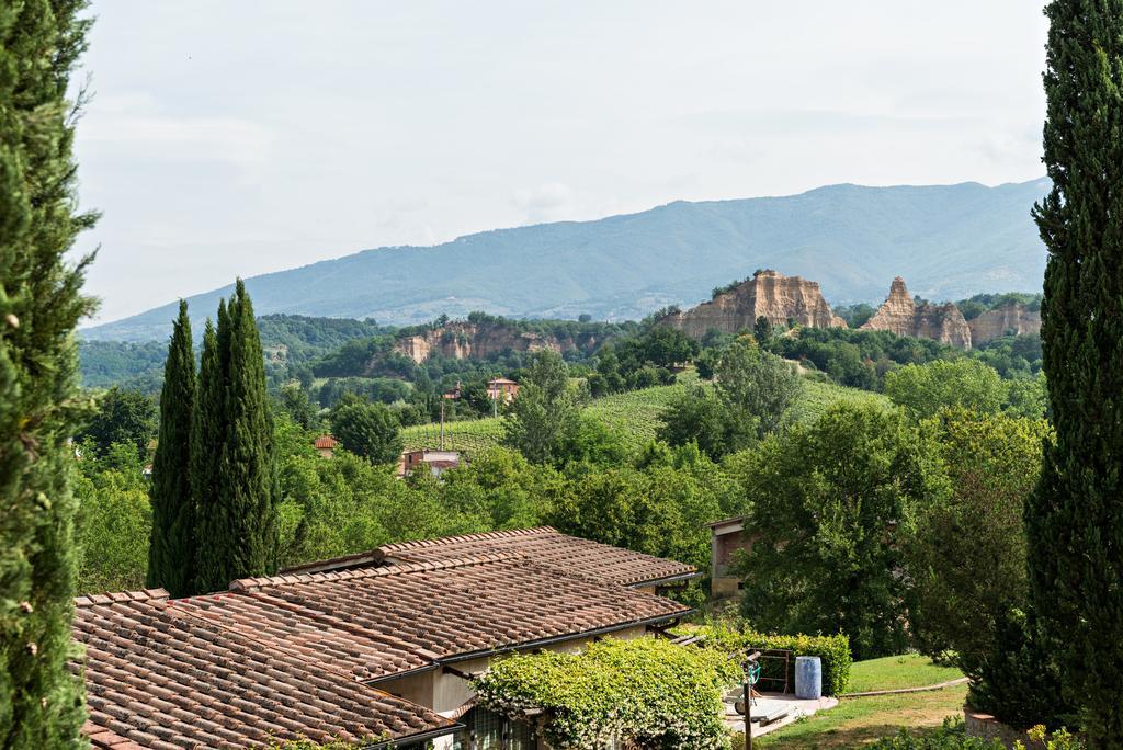 ريغلو Villa Il Cedro المظهر الخارجي الصورة